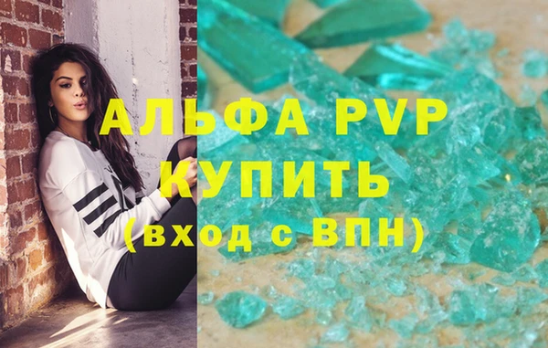 стафф Инта