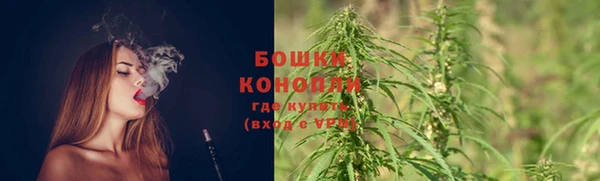 стафф Инта