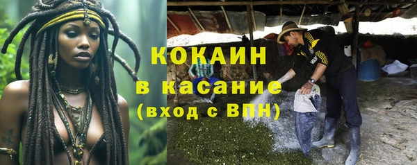 мет Инсар