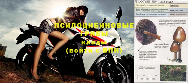 стафф Инта