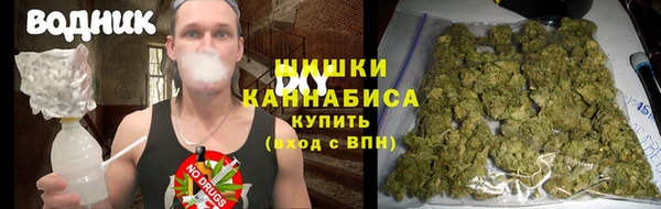 стафф Инта